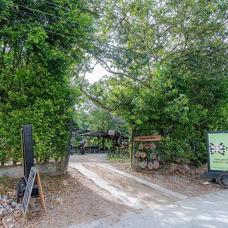 Ayenda Flora Jaguar Panzió Ibagué Kültér fotó
